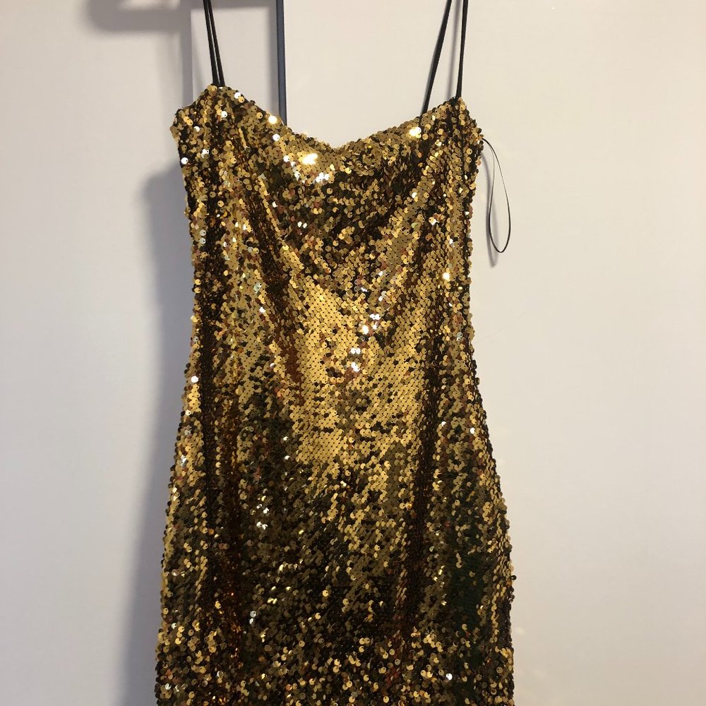 Reformation Roxy Dress (Gold Sequin mini)